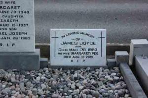 Joyce James Arm